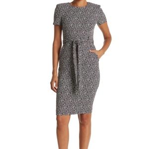 EUC Millenium Short Sleeve Belted Sheath Dress with Pockets, Size 6
